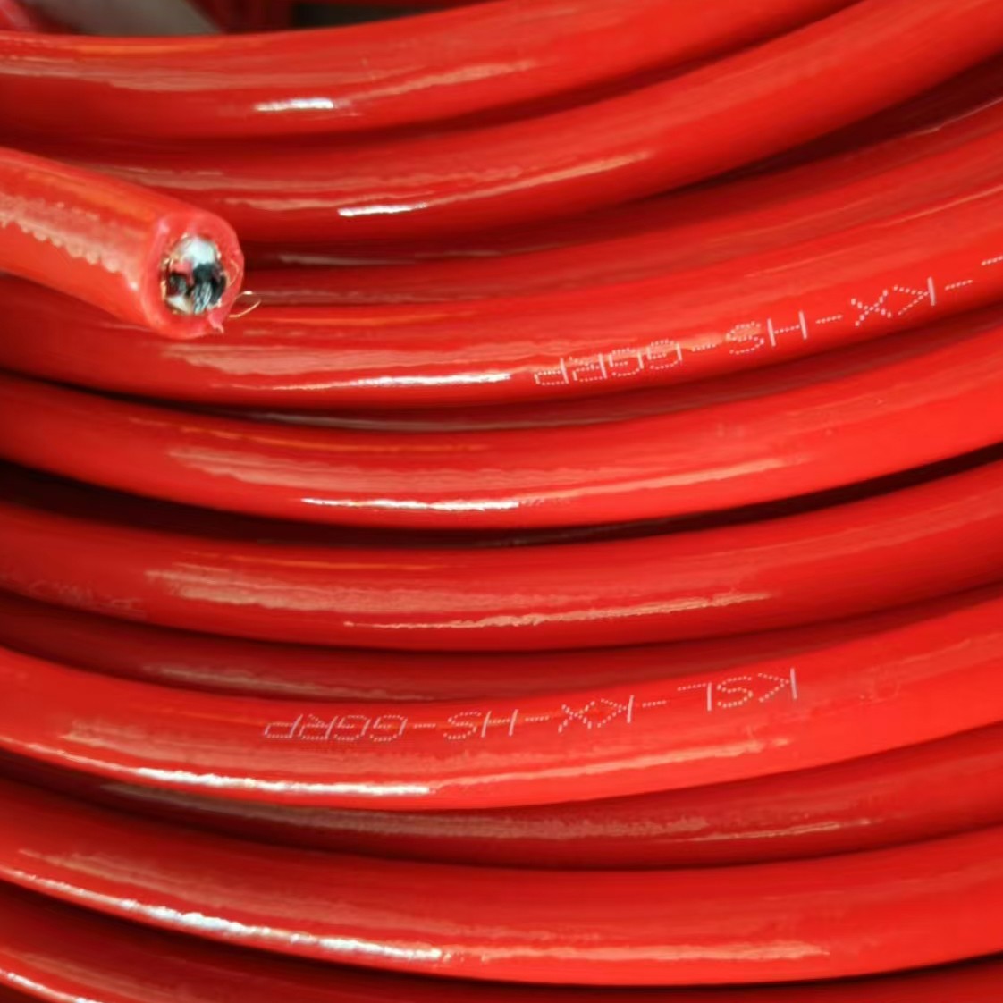 17367577041938.jpg 17364155272425.jpg